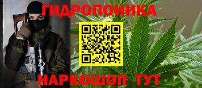 ГАЛЛЮЦИНОГЕННЫЕ ГРИБЫ Владимир
